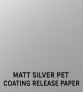 Matt Silver PET-kate